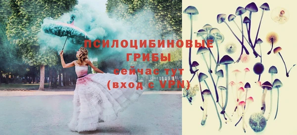 марки nbome Ельня